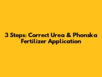 3 Steps: Correct Urea & Phonska Fertilizer Application