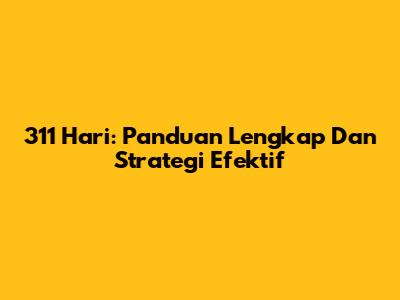 311 Hari: Panduan Lengkap Dan Strategi Efektif