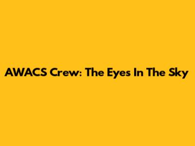 AWACS Crew: The Eyes In The Sky