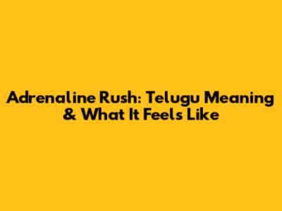 Adrenaline Rush: Telugu Meaning & What It Feels Like