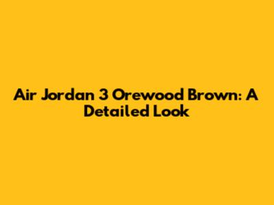 Air Jordan 3 Orewood Brown: A Detailed Look