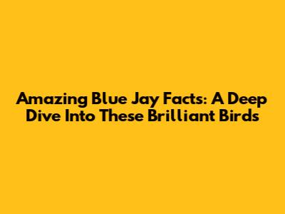 Amazing Blue Jay Facts: A Deep Dive Into These Brilliant Birds