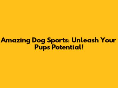 Amazing Dog Sports: Unleash Your Pup's Potential!