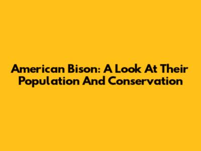 American Bison: A Look At Their Population And Conservation