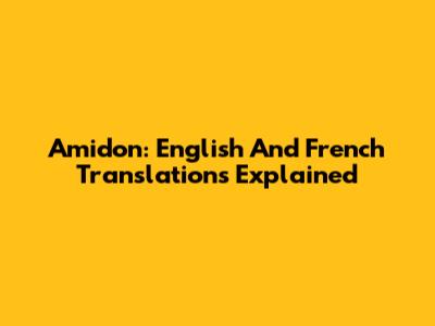 Amidon: English And French Translations Explained