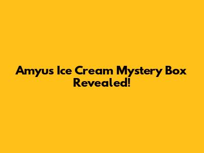 Amyu's Ice Cream Mystery Box Revealed!