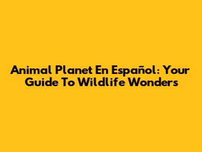 Animal Planet En Español: Your Guide To Wildlife Wonders