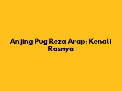 Anjing Pug Reza Arap: Kenali Rasnya