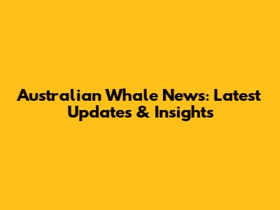 Australian Whale News: Latest Updates & Insights