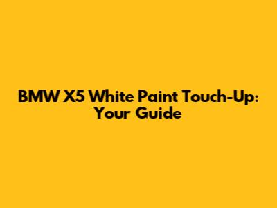 BMW X5 White Paint Touch-Up: Your Guide