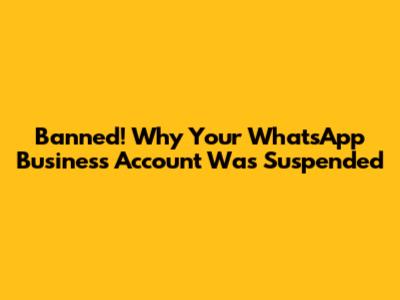 Banned! Why Your WhatsApp Business Account Was Suspended