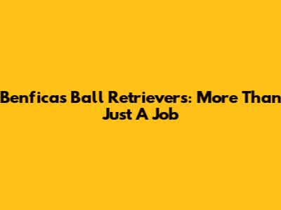 Benfica's Ball Retrievers: More Than Just A Job
