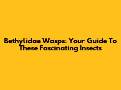 Bethylidae Wasps: Your Guide To These Fascinating Insects