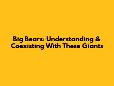 Big Bears: Understanding & Coexisting With These Giants