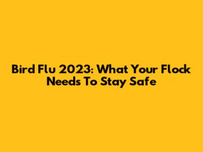 Bird Flu 2023: What Your Flock Needs To Stay Safe