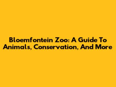 Bloemfontein Zoo: A Guide To Animals, Conservation, And More