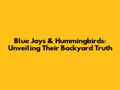 Blue Jays & Hummingbirds: Unveiling Their Backyard Truth