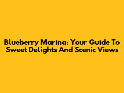 Blueberry Marina: Your Guide To Sweet Delights And Scenic Views