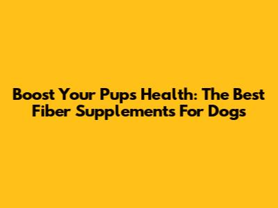 Boost Your Pup's Health: The Best Fiber Supplements For Dogs