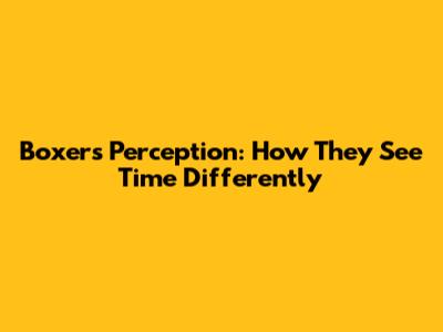 Boxer's Perception: How They See Time Differently