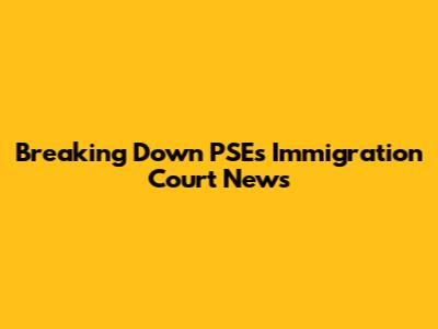 Breaking Down PSE's Immigration Court News