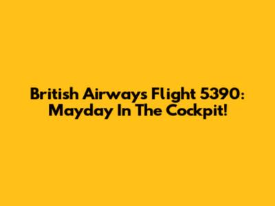 British Airways Flight 5390: Mayday In The Cockpit!