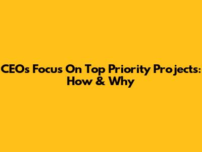 CEOs Focus On Top Priority Projects: How & Why