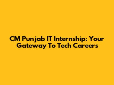CM Punjab IT Internship: Your Gateway To Tech Careers