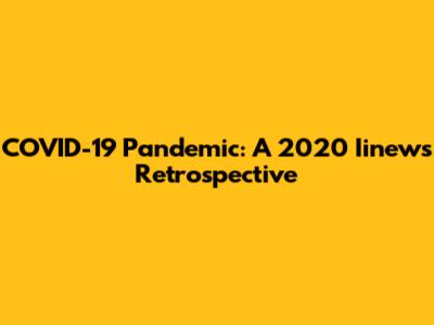 COVID-19 Pandemic: A 2020 Iinews Retrospective