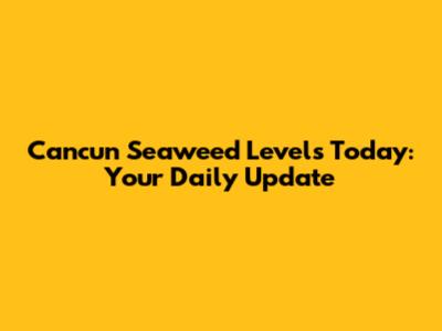 Cancun Seaweed Levels Today: Your Daily Update
