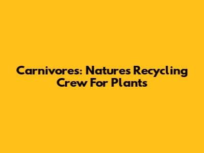 Carnivores: Nature's Recycling Crew For Plants