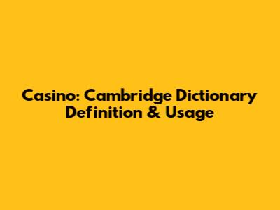 Casino: Cambridge Dictionary Definition & Usage