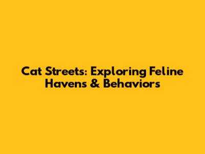 Cat Streets: Exploring Feline Havens & Behaviors