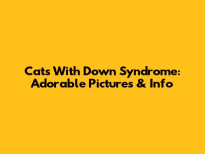 Cats With Down Syndrome: Adorable Pictures & Info