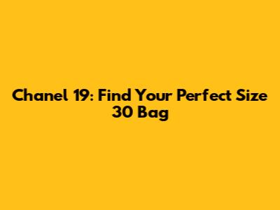Chanel 19: Find Your Perfect Size 30 Bag
