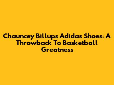 Chauncey Billups' Adidas Shoes: A Throwback To Basketball Greatness