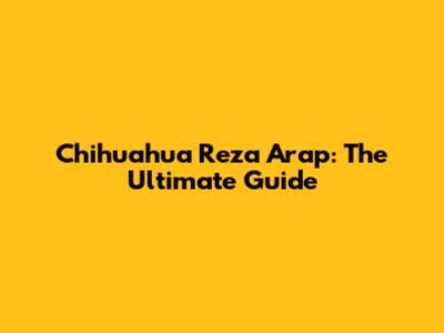 Chihuahua Reza Arap: The Ultimate Guide