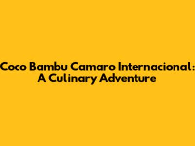 Coco Bambu Camaro Internacional: A Culinary Adventure