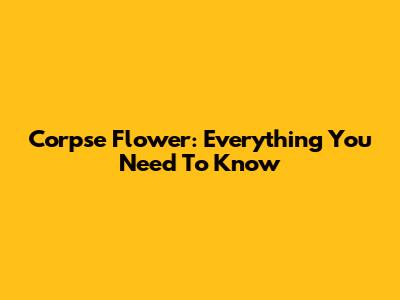 Corpse Flower: Everything You Need To Know