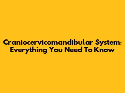 Craniocervicomandibular System: Everything You Need To Know