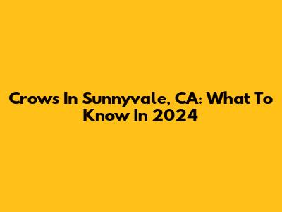 Crows In Sunnyvale, CA: What To Know In 2024