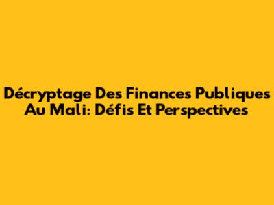 Décryptage Des Finances Publiques Au Mali: Défis Et Perspectives