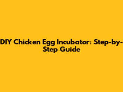 DIY Chicken Egg Incubator: Step-by-Step Guide