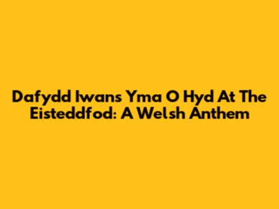 Dafydd Iwan's 'Yma O Hyd' At The Eisteddfod: A Welsh Anthem