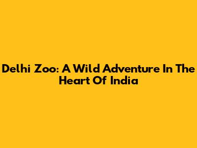 Delhi Zoo: A Wild Adventure In The Heart Of India