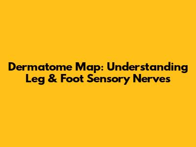 Dermatome Map: Understanding Leg & Foot Sensory Nerves
