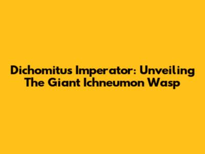 Dichomitus Imperator: Unveiling The Giant Ichneumon Wasp