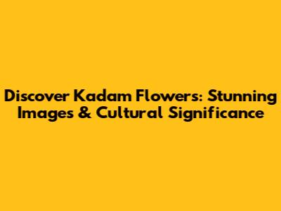 Discover Kadam Flowers: Stunning Images & Cultural Significance