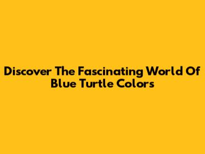 Discover The Fascinating World Of Blue Turtle Colors