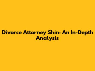 Divorce Attorney Shin: An In-Depth Analysis